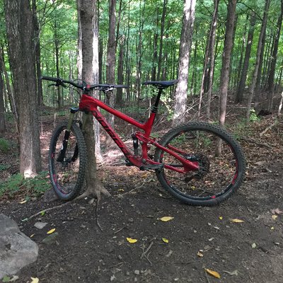 Chris Steingart - Twitter Profile Picture of Chris Steingart (@Chrissteingart) on Twitter