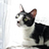 Profile Picture of %u677E%u9F20%u4E18 (@%u677E%u9F20%u4E18) on Flickr