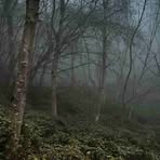 Profile Picture of Chadwick Mccarthy (@Chadwick-Mccarthy) on Facebook