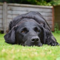 Kieran Daniels - Quora Profile Picture of Kieran Daniels (@kieran-daniels-7) on Quora