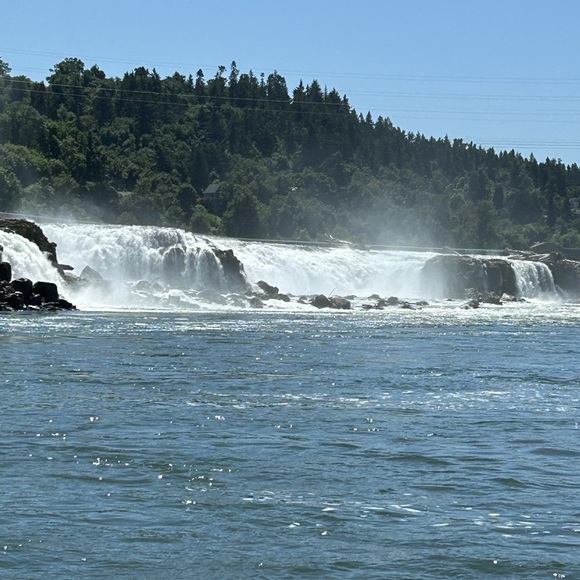 Profile Picture of Sonya Harruff (@sonyamharruff) on Poshmark