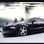 Profile Picture of Jesse Cleary (@jcdog1) on Instagram