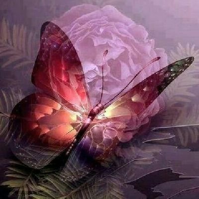 Profile Picture of Peter Kruger (@PeterKruger14) on Twitter