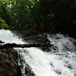 Profile Picture of David Beamish (@davidlbeamish) on Instagram