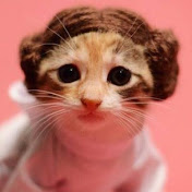 Profile Picture of Mark Rude (@markrude9489) on Youtube