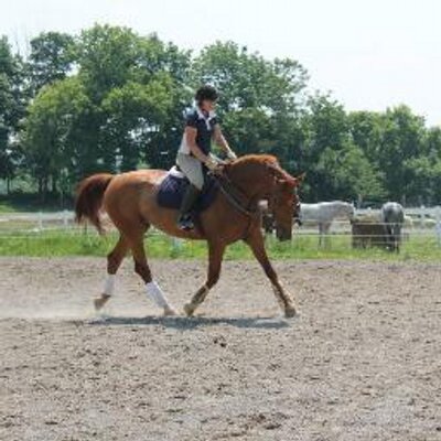 Profile Picture of Lynn Mitchell (@LynnMitchell3) on Twitter