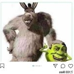 Profile Picture of andrew.adames (@guacamoleandrew) on Instagram