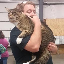 Profile Picture of Aaron Creech (@stant0nsgrave) on Twitter