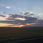 Profile Picture of Michael Demick (@michael.demick) on Instagram