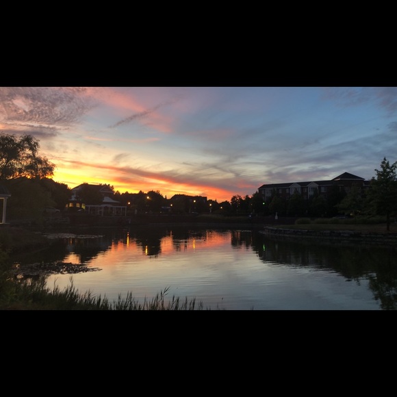 Profile Picture of Tziporah Schmeltzer (@tziporah123) on Poshmark