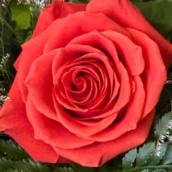 Nancy Pollock - Poshmark Profile Picture of Nancy Pollock (@stop123567) on Poshmark