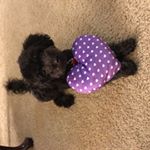 Profile Picture of Audrey Sacks😁😀 (@sacks_master) on Instagram