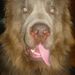 Profile Picture of Tasha Simon (@mrstashasimon) on Pinterest