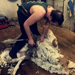 Josh McClelland - Instagram Profile Picture of Josh McClelland (@mcclelland385) on Instagram