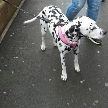 Profile Picture of Roxanne Kemp (@roxannemkemp) on Twitter