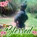 Profile Picture of Stanzel Cheryl (Berience mutola mwandi) (@stanzel.cheryl) on Facebook