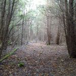 Profile Picture of Chris Reagan (@chrisreagan71) on Instagram