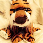 Profile Picture of Sam Seligman (@seligman8) on Instagram