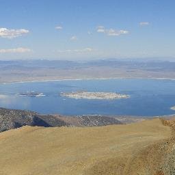 Mark D. Tribe - Twitter Profile Picture of Mark D. Tribe (@MarkDTribe) on Twitter