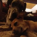 Profile Picture of Cecil Jones (@ceciljones94) on Instagram