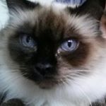 Profile Picture of Barbara (@barbara_burruezo) on Instagram