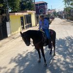 Profile Picture of Jose Antonio Plascencia (@joseantonioplg) on Instagram