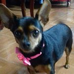 Daniel Araque - Instagram Profile Picture of Daniel Araque (@araque7672) on Instagram