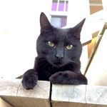 Profile Picture of David Alexander (@davidalexander_nue) on Instagram