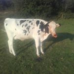 Profile Picture of Gary Sellers (@gary.sellers.5) on Instagram