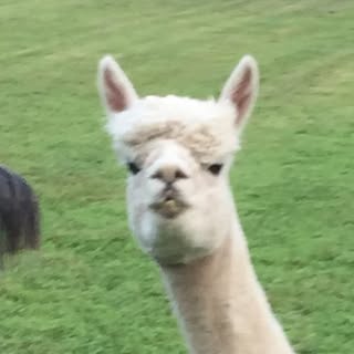 Profile Picture of Chloe DeMarco (@chloe_demarco) on Instagram