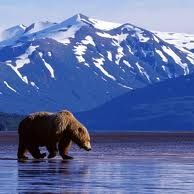 Profile Picture of Beth Swaby (@reit0100) on Pinterest