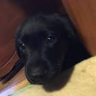 Profile Picture of   TikTok de Owen Ritter... (@owenritter) on Tiktok