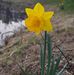Profile Picture of Lisa Pfeil (@lisa.pfeil.353) on Facebook