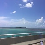 Profile Picture of Luke Fanning (@lukefanning_4) on Instagram