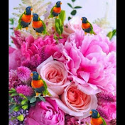 Profile Picture of Edith Jorge Vlog (@edithjorgevlog2069) on Youtube