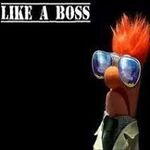 Profile Picture of Shaun Jarrett (@becker919) on Instagram