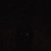 Profile Picture of Ernest Steele (@@erneststeele1) on Tiktok