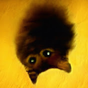 Profile Picture of Owen Shirrell (@owenshirrell1150) on Youtube