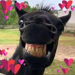 Marcus Busch - Facebook Profile Picture of Marcus Busch (@Marcus-Busch) on Facebook