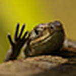 Profile Picture of Laurence Arnold (@laurencea) on Flickr