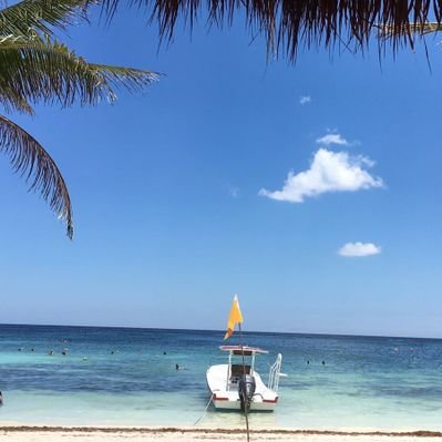 Profile Picture of Jesús Becerril Fuentes (@JessBecerrilFu2) on Twitter