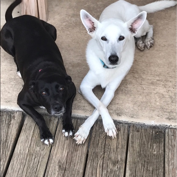 Emily Eikenberg - Poshmark Profile Picture of Emily Eikenberg (@eiken2) on Poshmark