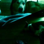 Profile Picture of dalton john vanderpool (@daltonjohnvanderp) on Instagram