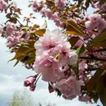 Profile Picture of Mark Henderson (@marklhendersonphoto) on Instagram