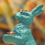 Profile Picture of Team Sunshine Fuzzy Bunny (@eddy and nicci) on Flickr