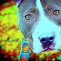 Profile Picture of Jeremy DeGuc (@jeremydeguc) on Pinterest