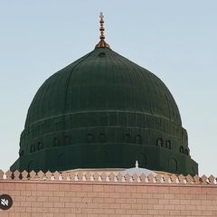 Profile Picture of Richard Matteo (@richard.matteo) on Tiktok