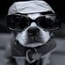 Profile Picture of Scott Windham (@scott.windham.9) on Facebook