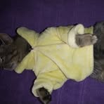 Profile Picture of Kare Samano (@karelin.samano) on Facebook