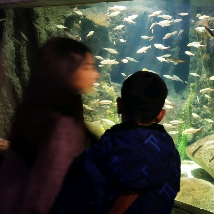 Profile Picture of sc (@sonjamc09) on Tiktok